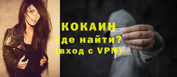 сатива Покачи