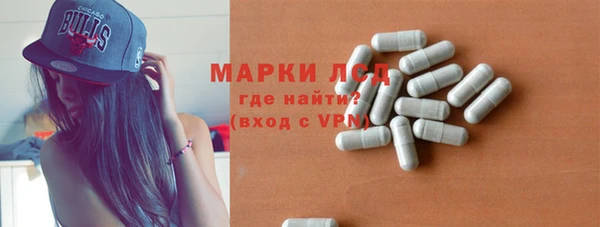 сатива Покачи