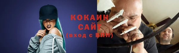 сатива Покачи