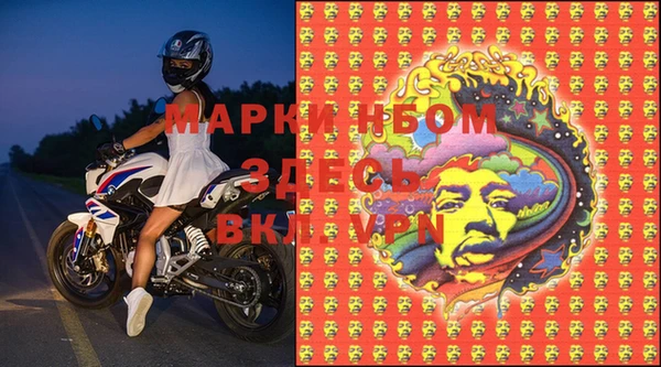 сатива Покачи