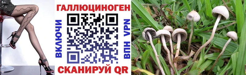 Псилоцибиновые грибы Magic Shrooms  наркошоп  blacksprut ONION  Среднеколымск 